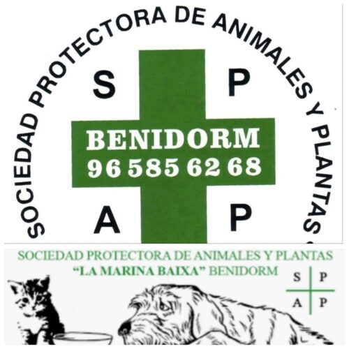 oferta Cartas credenciales pañuelo de papel Protectora de Benidorm – Refugio de Animales